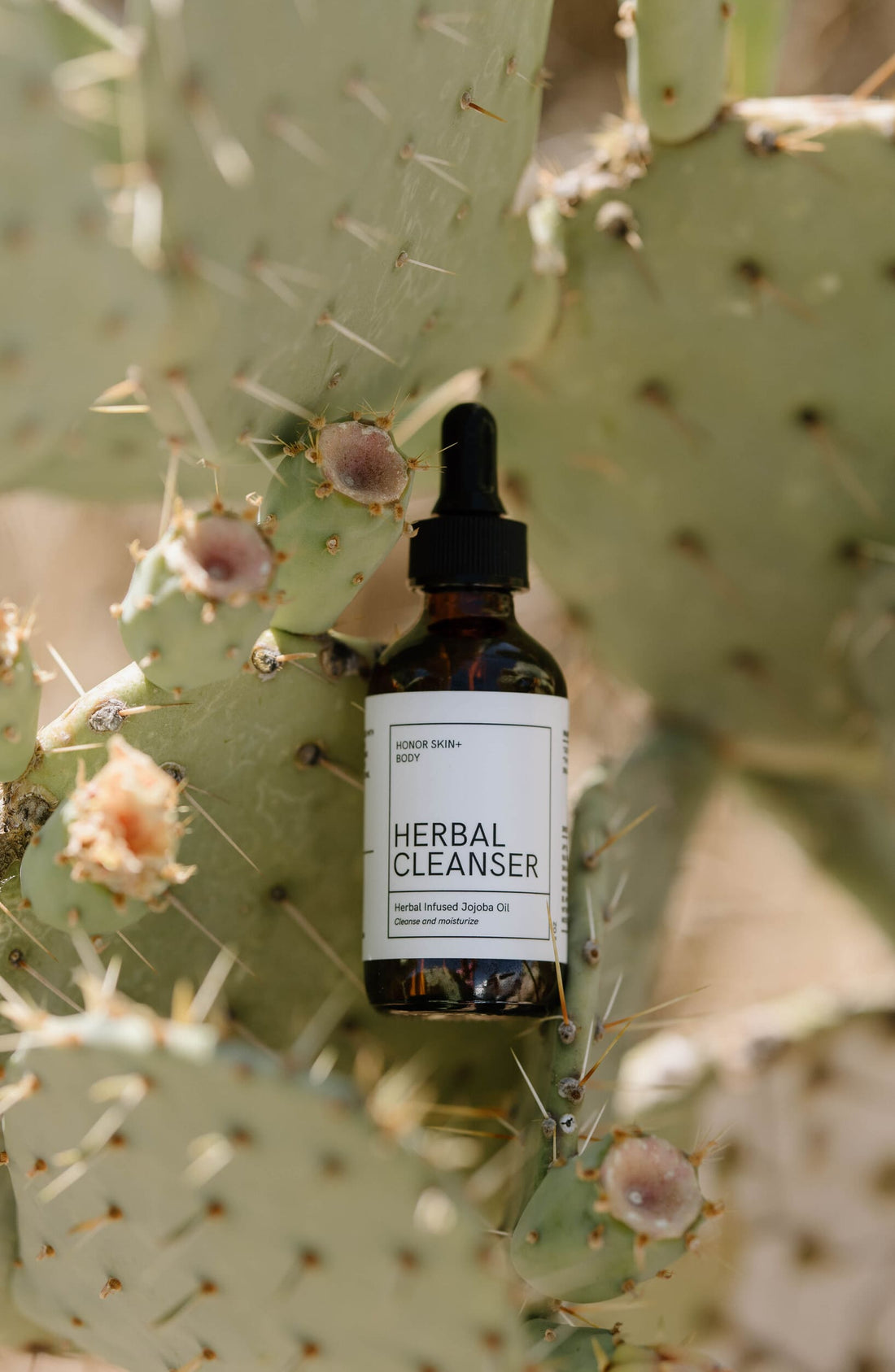 Herbal Oil Cleanser & Serum